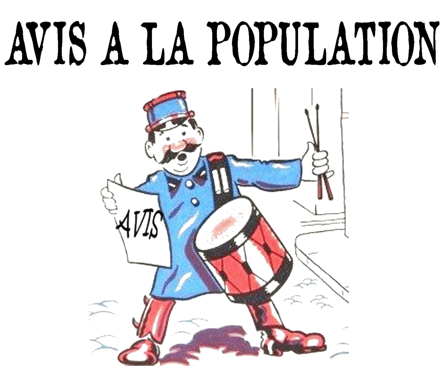 avis.jpg